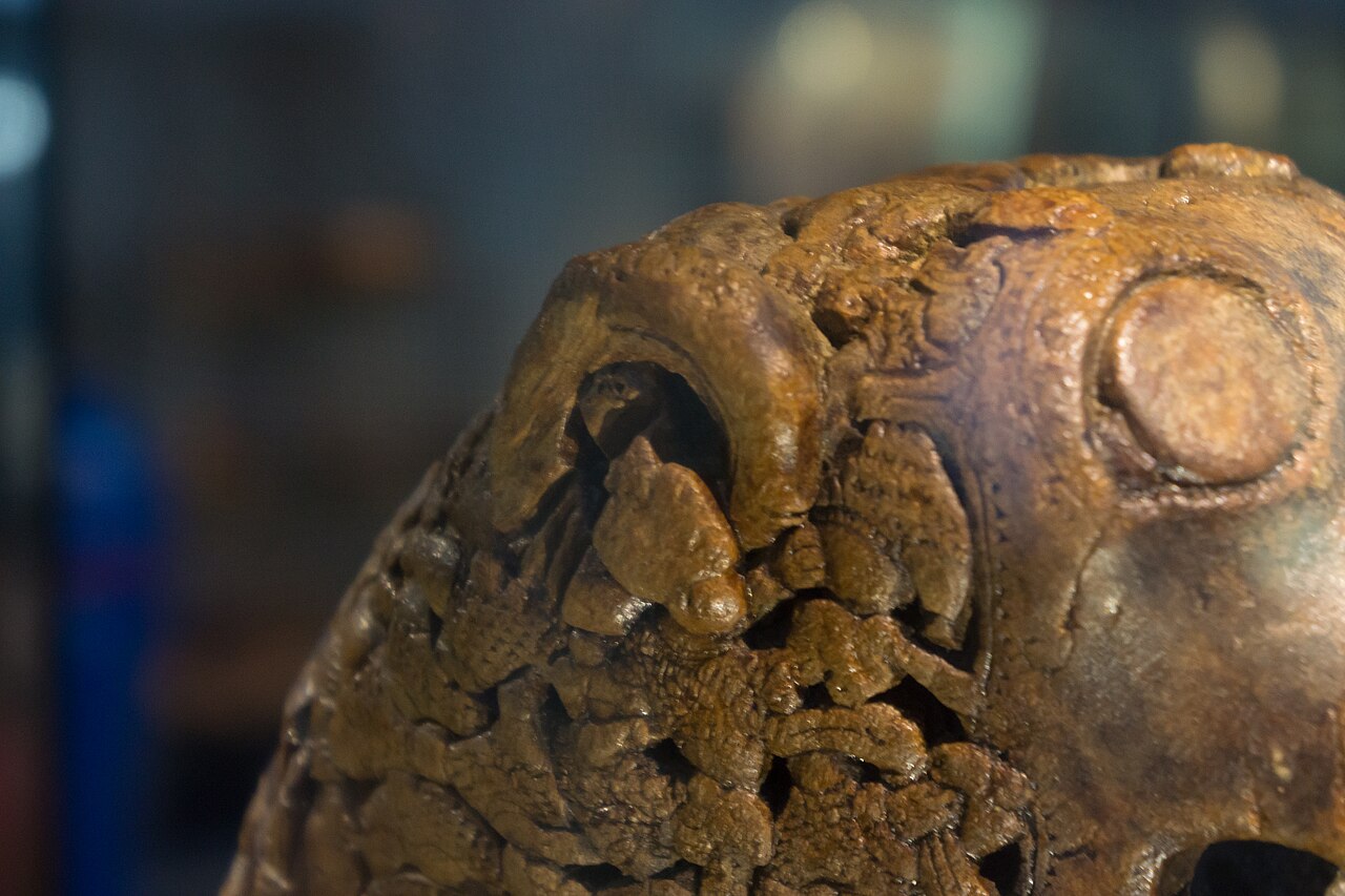 Carved wooden animal-head post from the Oseberg Viking ship burial, the same grave that held the newly displayed serpent head